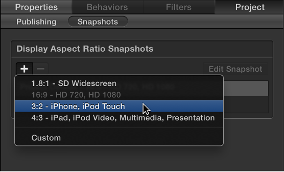 Snapshots pane in Project Inspector showing new display aspect ratio options