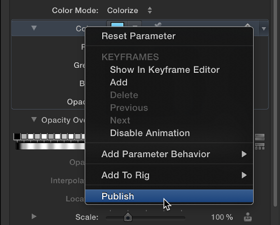Choosing Publish from Color parameter's shortcut menu