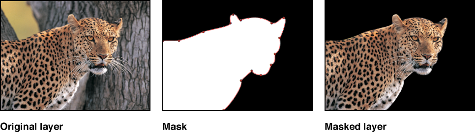 Figure. Canvas window showing a masked layer.