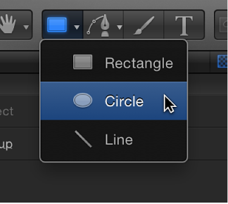 Circle tool in toolbar