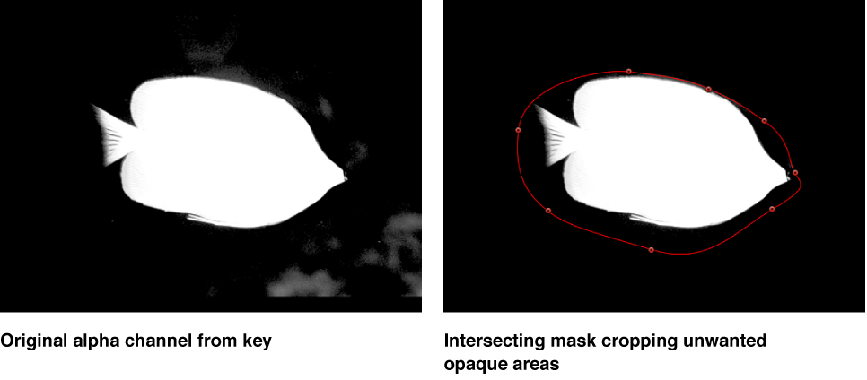 Canvas showing two intersecting masks