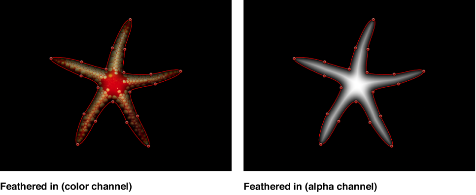 Canvas showing mask feathered in both color and alpha channel views