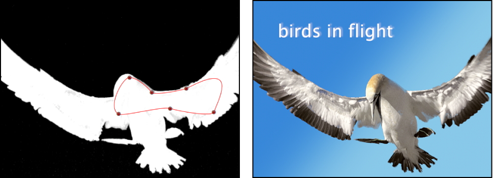 Canvas showing holdout mask applied to object