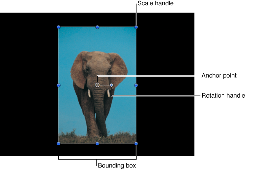 Canvas showing the standard object Select/Transform controls