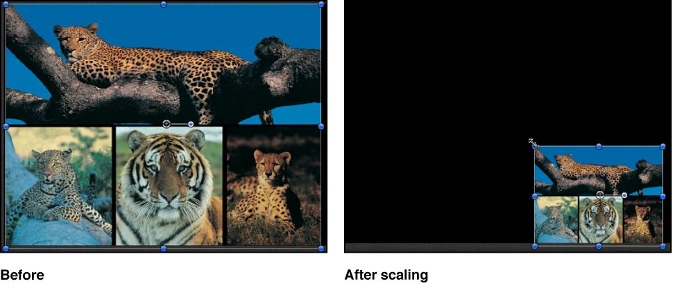 Canvas showing a group being scaled