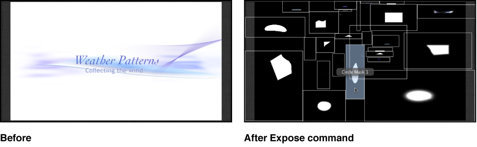 Canvas showing the effect of the Expose All Layers command