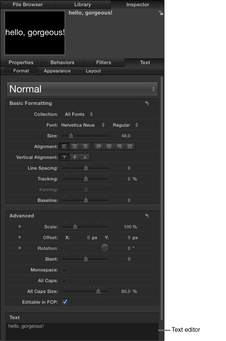 Format pane of the Text Inspector showing Text editor
