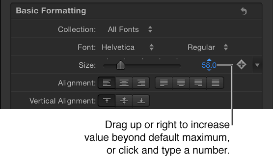 Size value field for Text Size parameter