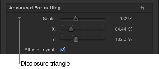 Expanded Scale parameter in Inspector