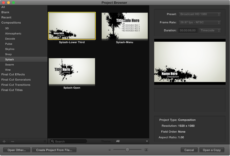 Project Browser showing custom preview