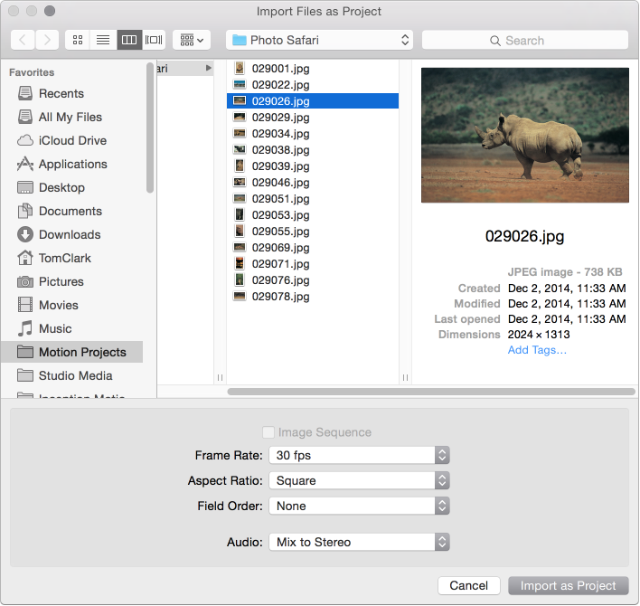 Import Files as Project dialog