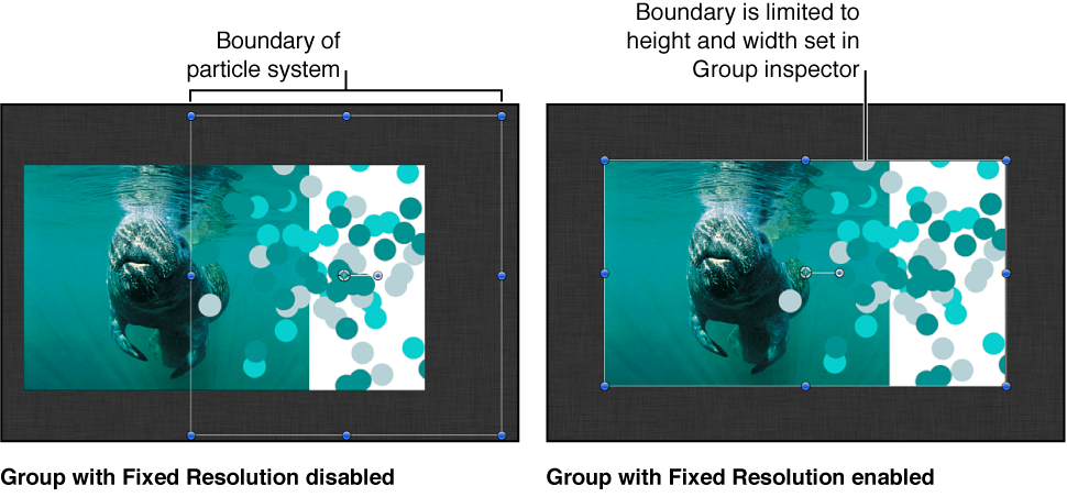 Canvas window showing default size of a group containing particles
