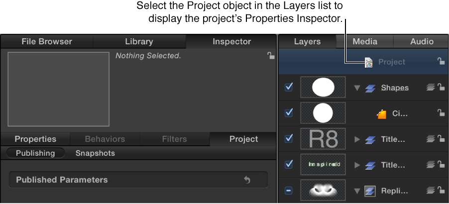 Project object selected in Layers list