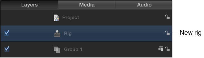Rig added to project in Layers list