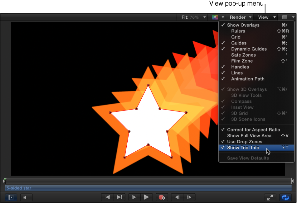 Selecting Show Tool Info from the Canvas View menu options