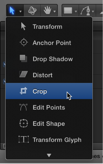 Selecting the Crop tool from the 2D transform tools pop-up menu