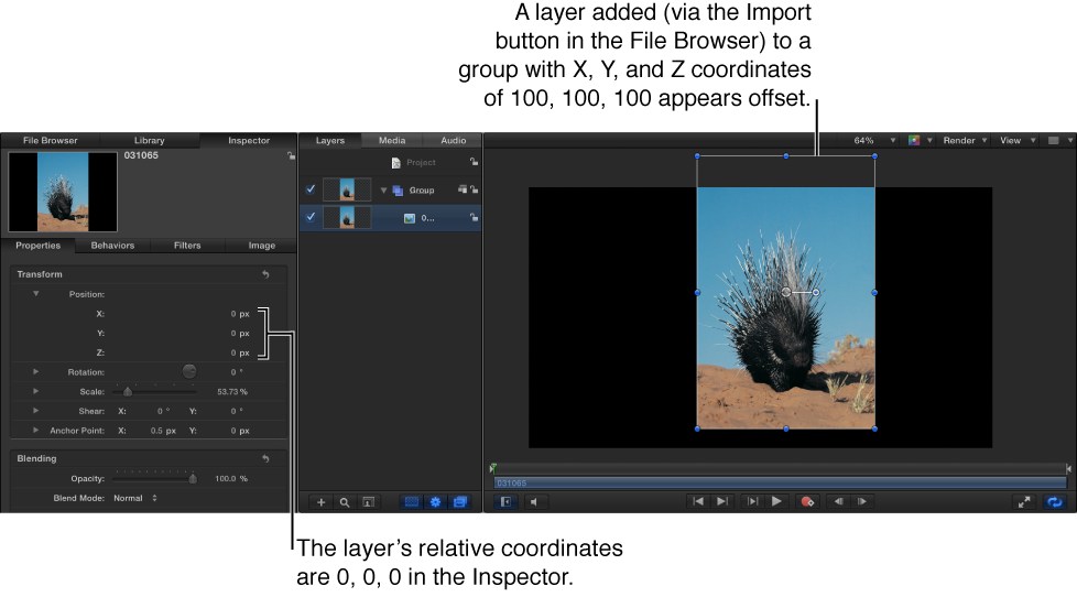 Canvas and Inspector showing layer placed in group at coordinates: X=100, Y=100, Z=100; layer's coordinates are: X=0, Y=0, Z=0 