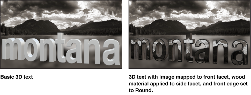 Canvas showing basic 3D text and 3D text with custom image mapped to front facet, wood applied to side facet, and front edge set to Round