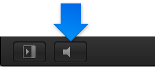 Play/Mute Audio button in the lower-left portion of the Canvas