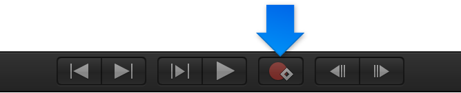 Record button in Canvas window transport controls
