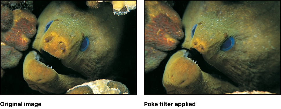 Canvas showing effect of Poke filter