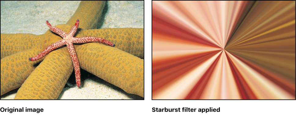 Canvas showing effect of Starburst filter