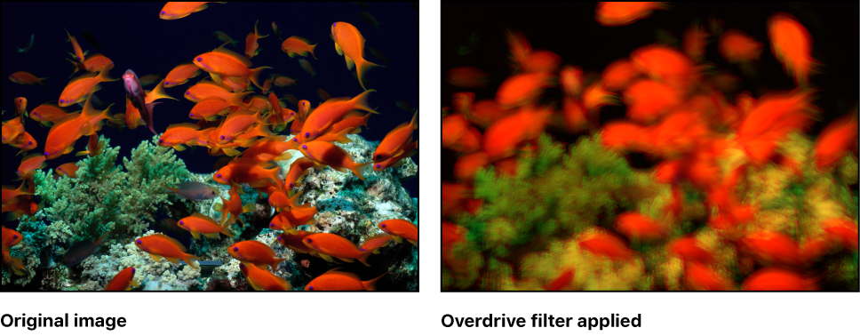 Canvas showing effect of Overdrive filter