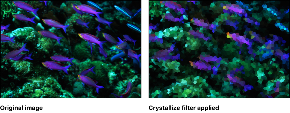 Canvas showing effect of Crystallize filter