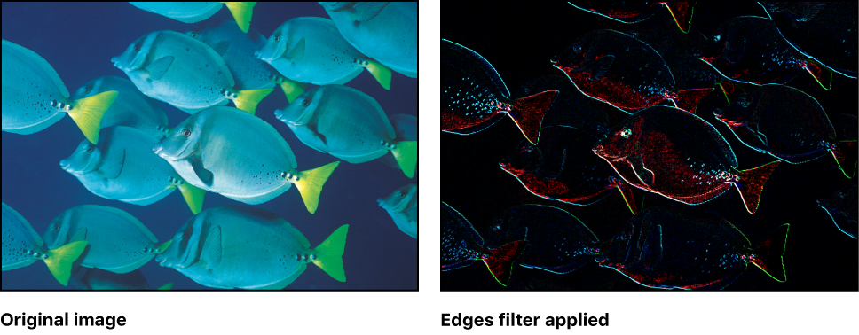 Canvas showing effect of Edges filter