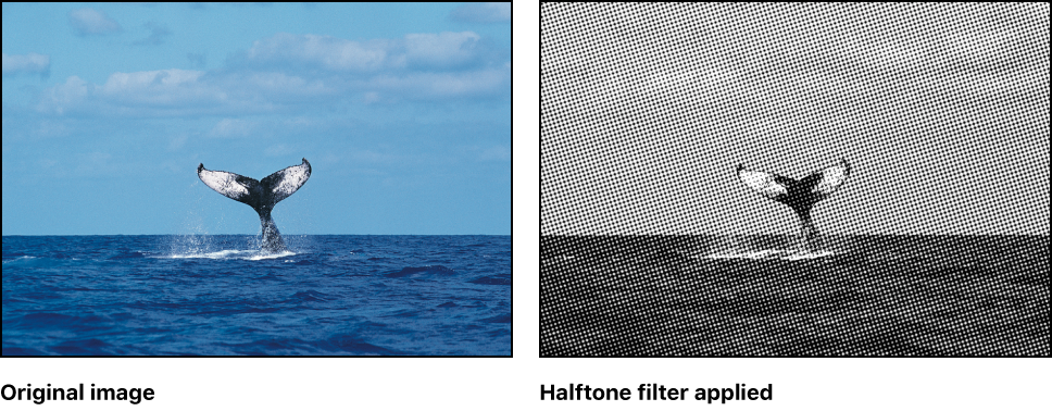 Canvas showing effect of Halftone filter