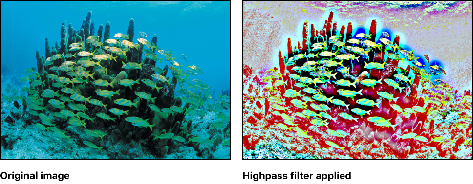 Canvas showing effect of Highpass filter
