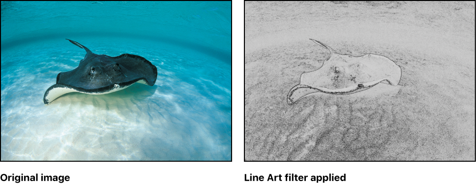 Canvas showing effect of Line Art filter