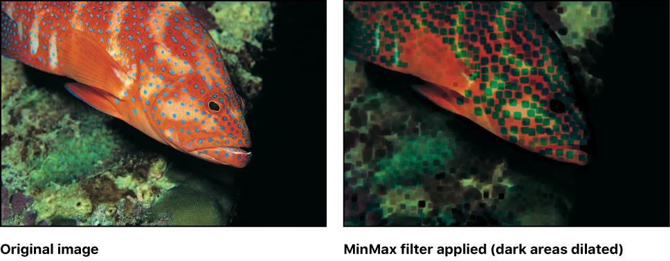 Canvas showing effect of MinMax filter