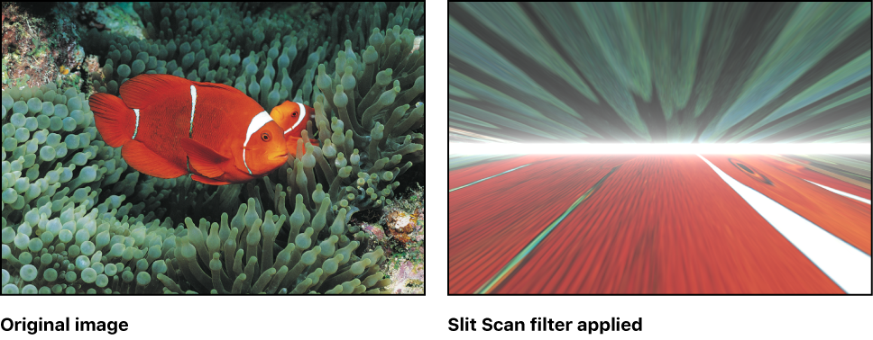 Canvas showing effect of Slit Scan filter