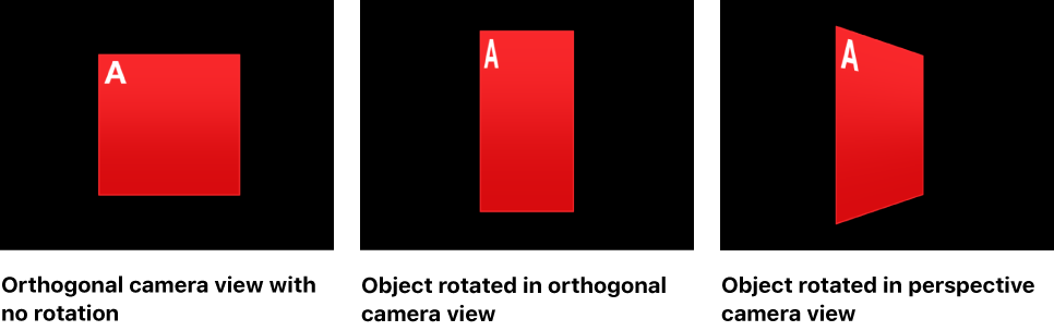 Canvas showing object with no rotation, rotated in orthogonal camera view, and in perspective camera view