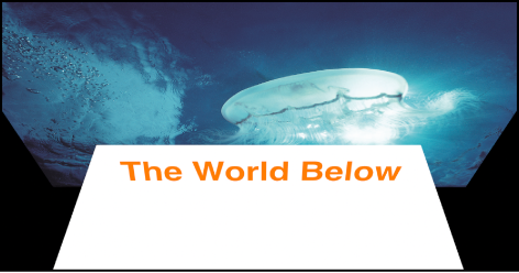 Canvas showing reflections turned off