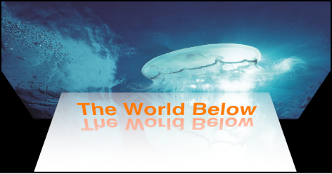 Canvas showing reflections turned on