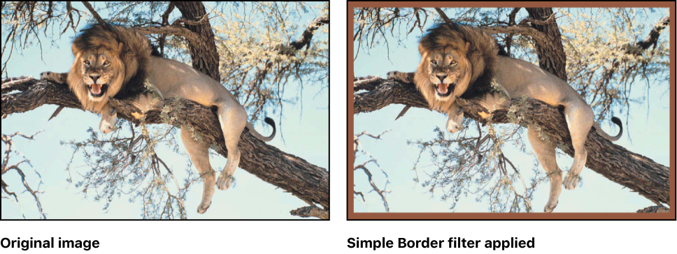 Canvas showing effect of Simple Border filter