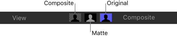 View controls, consisting of the Composite, Matte, and Original controls