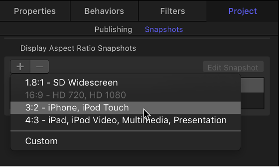 Snapshots pane in Project Inspector showing new display aspect ratio options