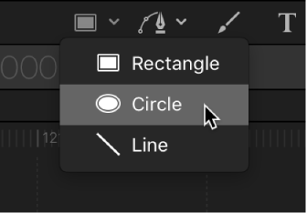 Circle tool in the canvas toolbar