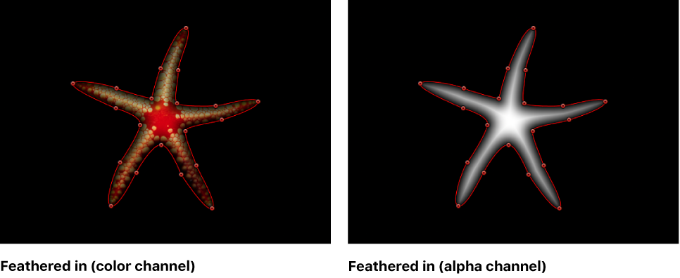 Canvas showing mask feathered in both color and alpha channel views