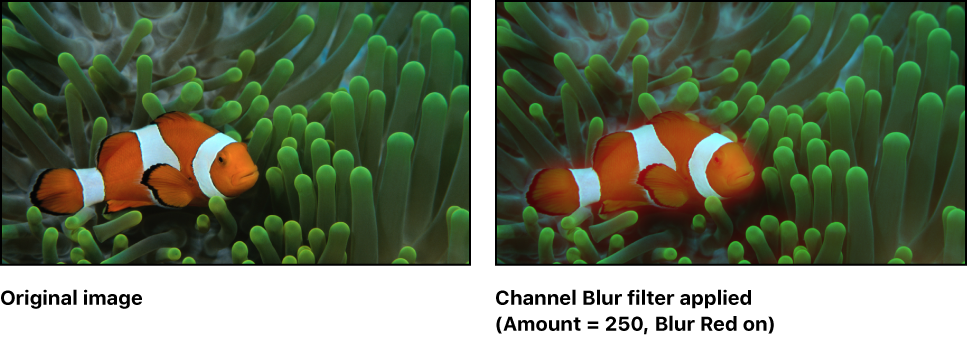 Canvas showing effect of Channel Blur filter