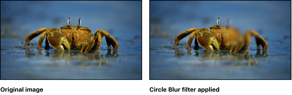Canvas showing effect of Circle Blur filter