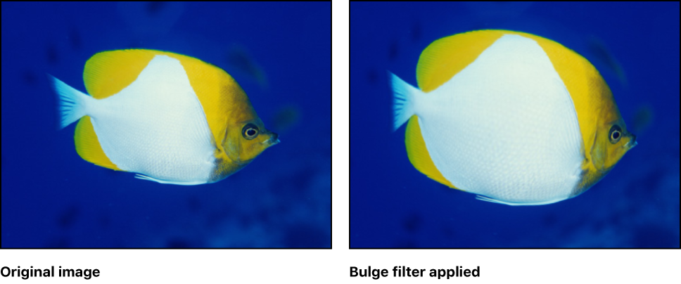 Canvas showing effect of Bulge filter