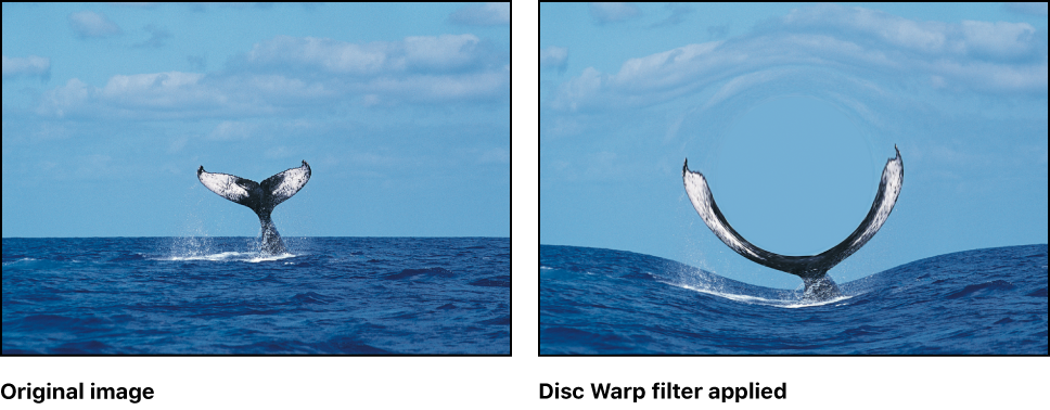 Canvas showing effect of Disc Warp filter