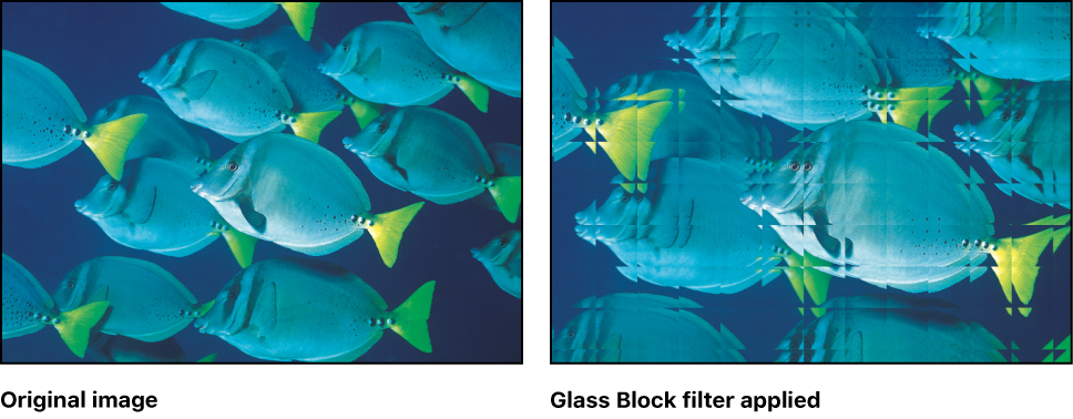 Canvas showing effect of Glass Block filter