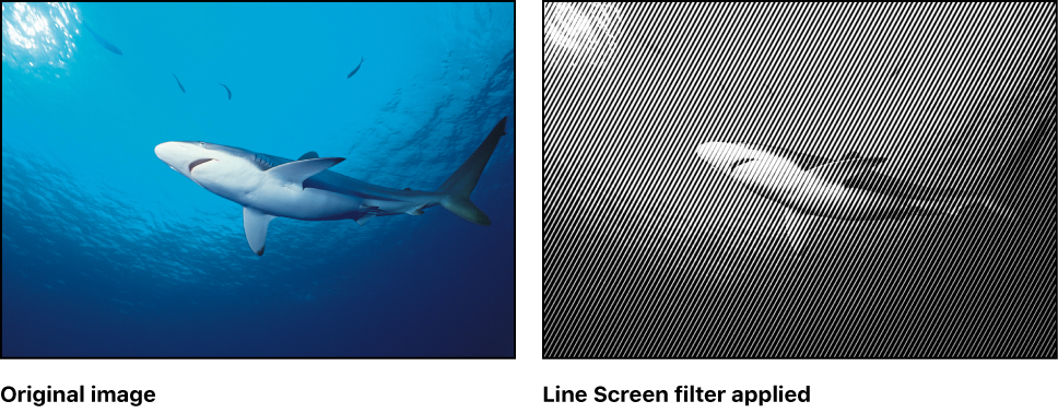 Canvas showing effect of Line Screen filter