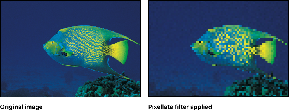 Canvas showing effect of Pixellate filter