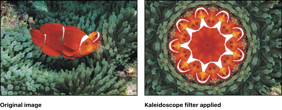Canvas showing effect of Kaleidoscope filter